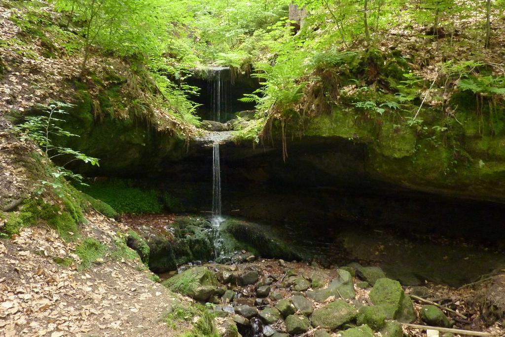 Penzion SKLAŘSKÁ HOSPODA Chribská Exterior foto